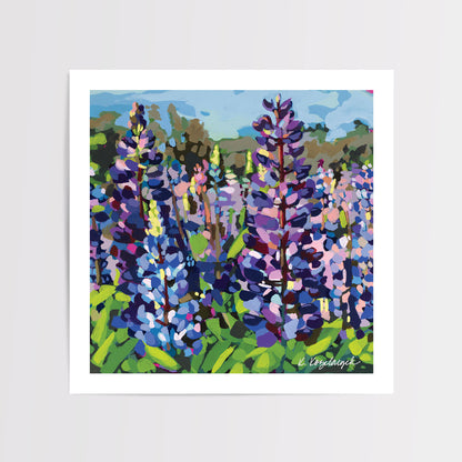 Lupine | Floral Art Print