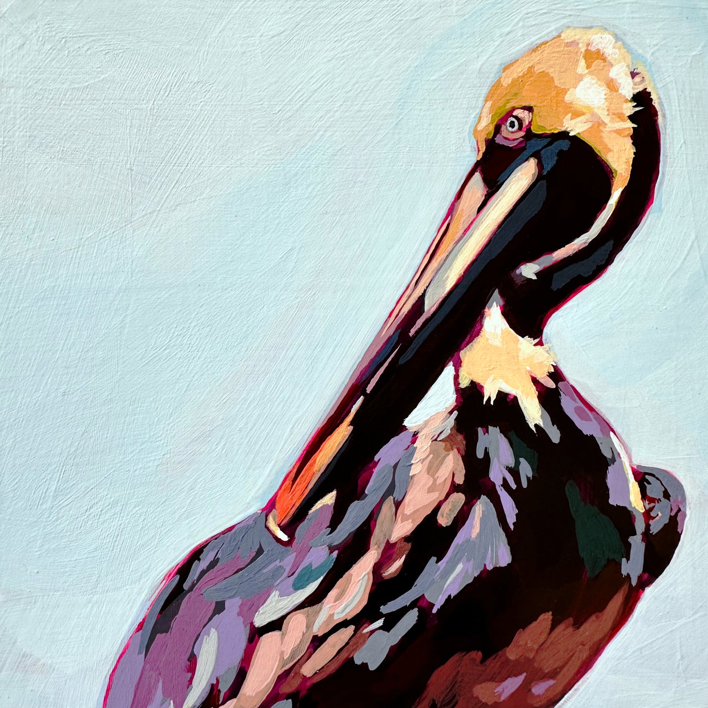 Pelican (Original)