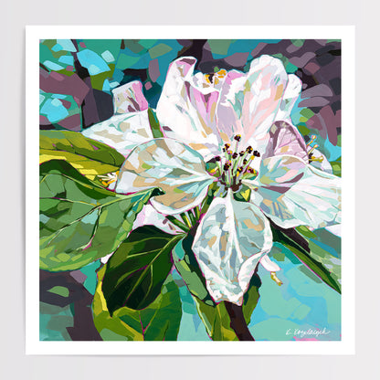 Apple Blossoms | Floral Art Print