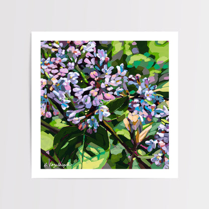 "Lilac Blooms” – Art Print