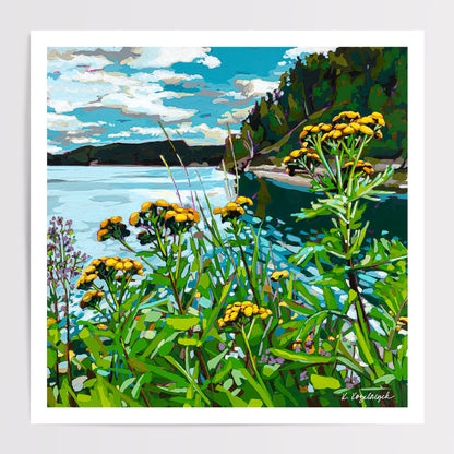 "Summer's Edge” – Art Print